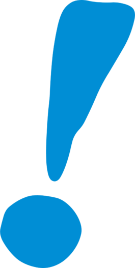 LiP2027 – Language is Plural